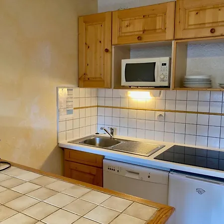 Lumineux Aux Deux Alpes - Animaux Admis - Fr-1-811-17 Apartment Les Deux Alpes
